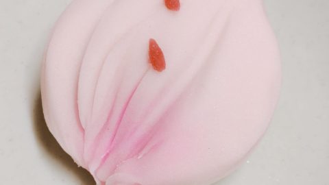 披露宴プチギフト用の和菓子